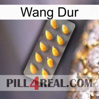 Hard Wang cialis1